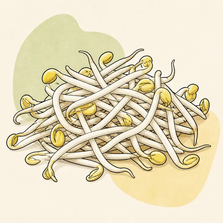 Hand-drawn editorial illustration of Bean sprouts, raw.