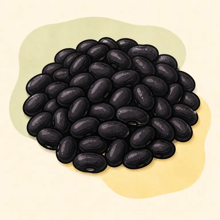 Hand-drawn editorial illustration of Black beans, from canned, no added fat.