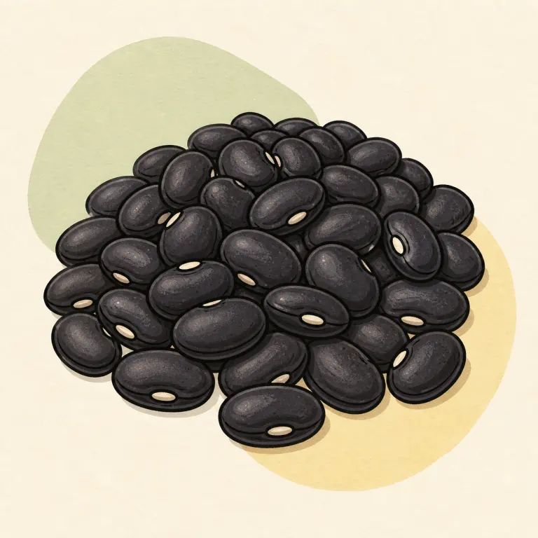 Hand-drawn editorial illustration of Black beans, from dried, no added fat.