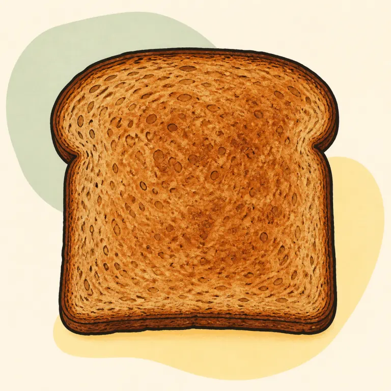 Hand-drawn editorial illustration of Bread, whole wheat, made from home recipe or purchased at bakery, toasted.