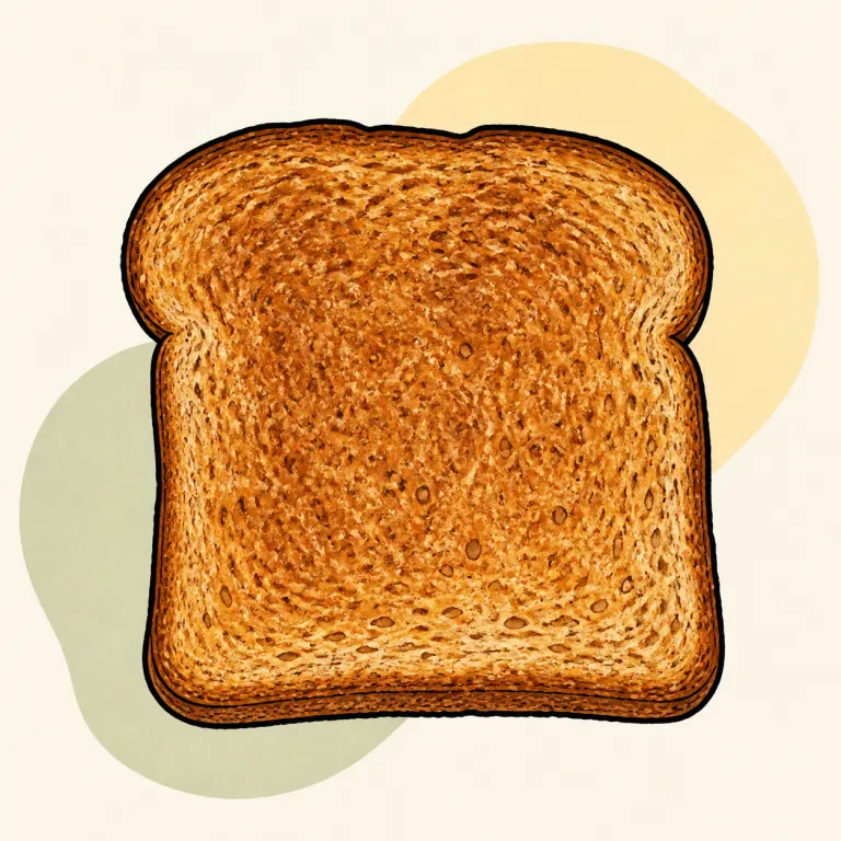 Hand-drawn editorial illustration of Bread, whole wheat, toasted.