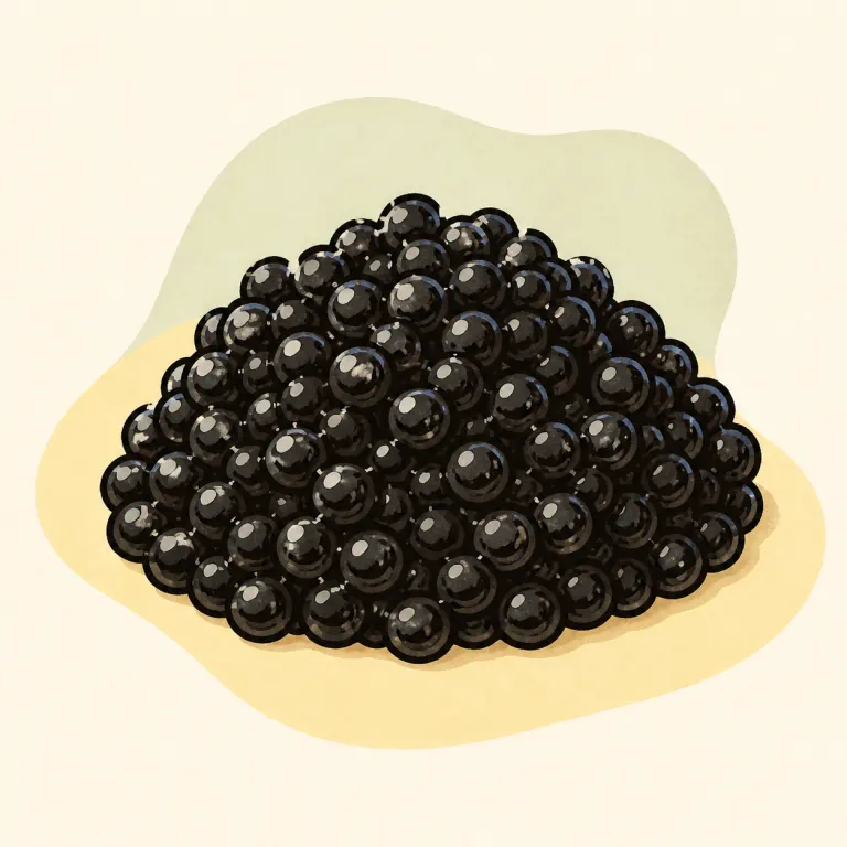 Hand-drawn editorial illustration of Caviar.