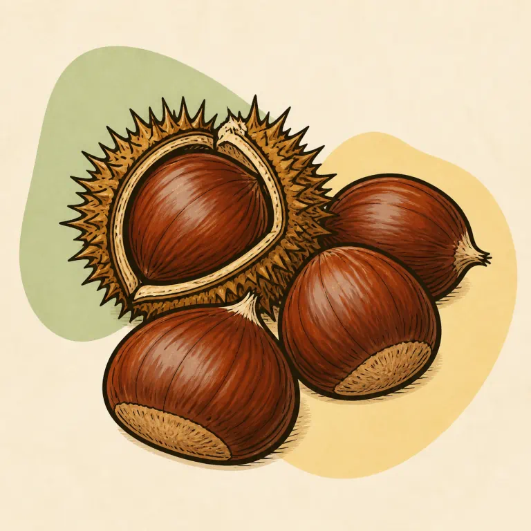 Hand-drawn editorial illustration of Chestnuts.