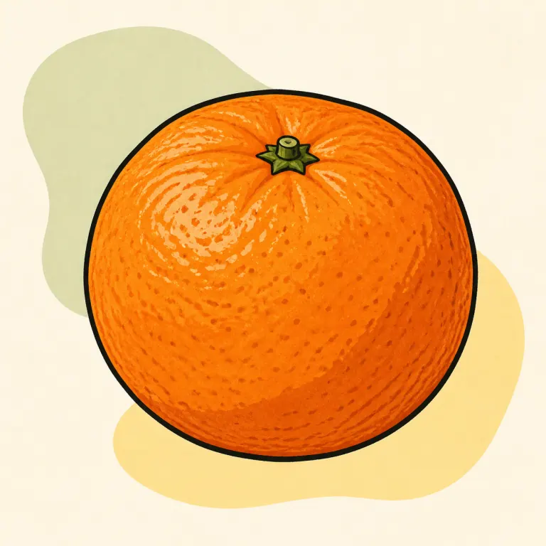 Hand-drawn editorial illustration of Clementine, raw.