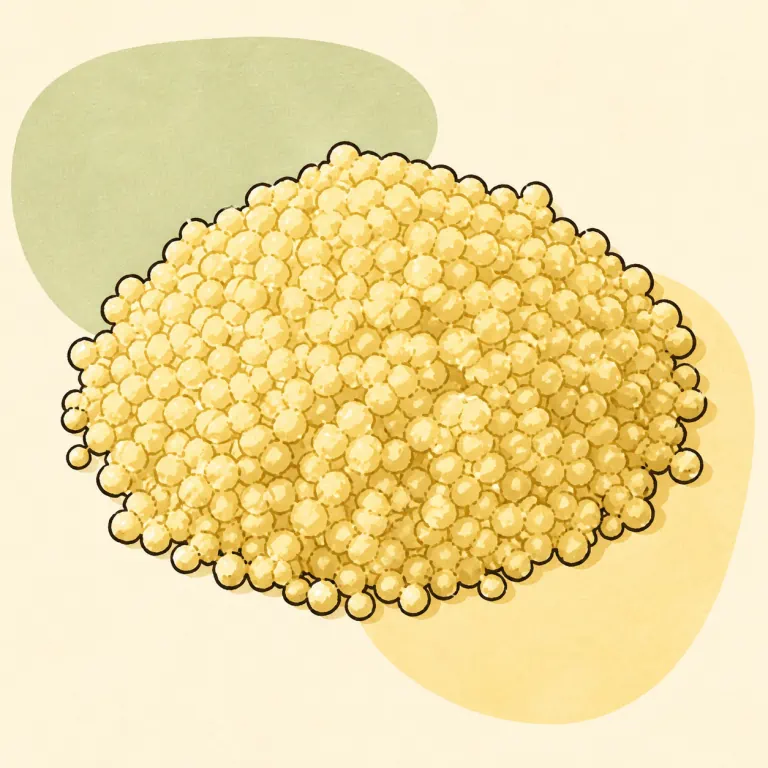 Hand-drawn editorial illustration of Couscous, plain, cooked.