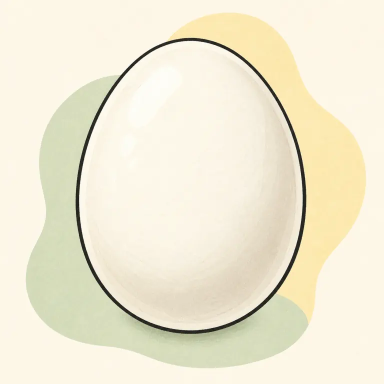 Hand-drawn editorial illustration of Egg, whole, boiled or poached.