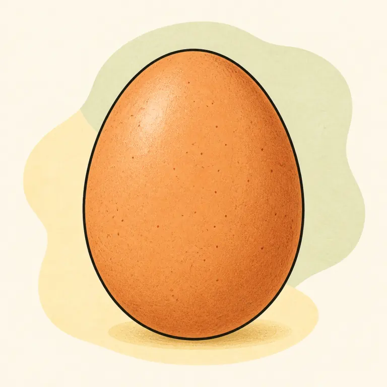 Hand-drawn editorial illustration of Egg, whole, raw.