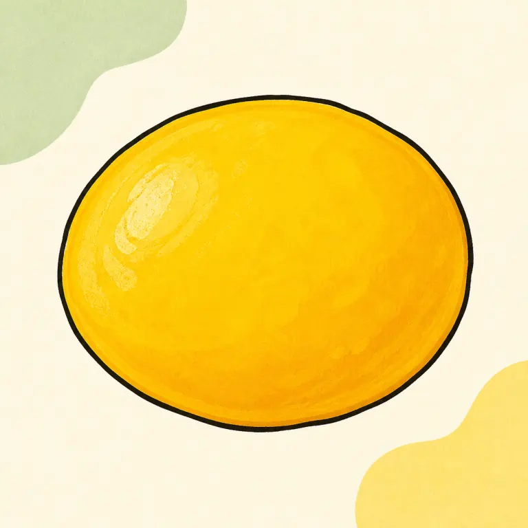 Hand-drawn editorial illustration of Egg, yolk only, cooked, no added fat.