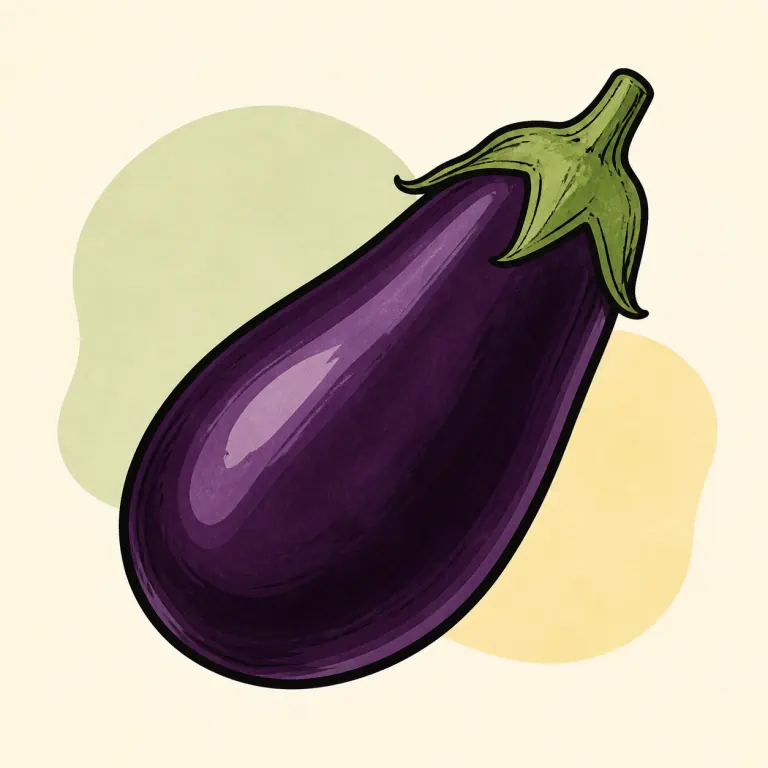 Hand-drawn editorial illustration of Eggplant, raw.
