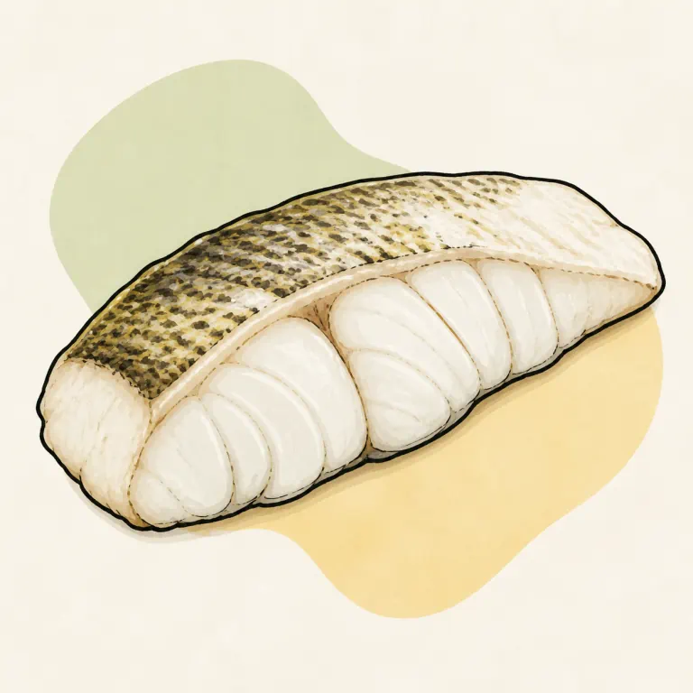 Hand-drawn editorial illustration of Fish, perch, steamed.