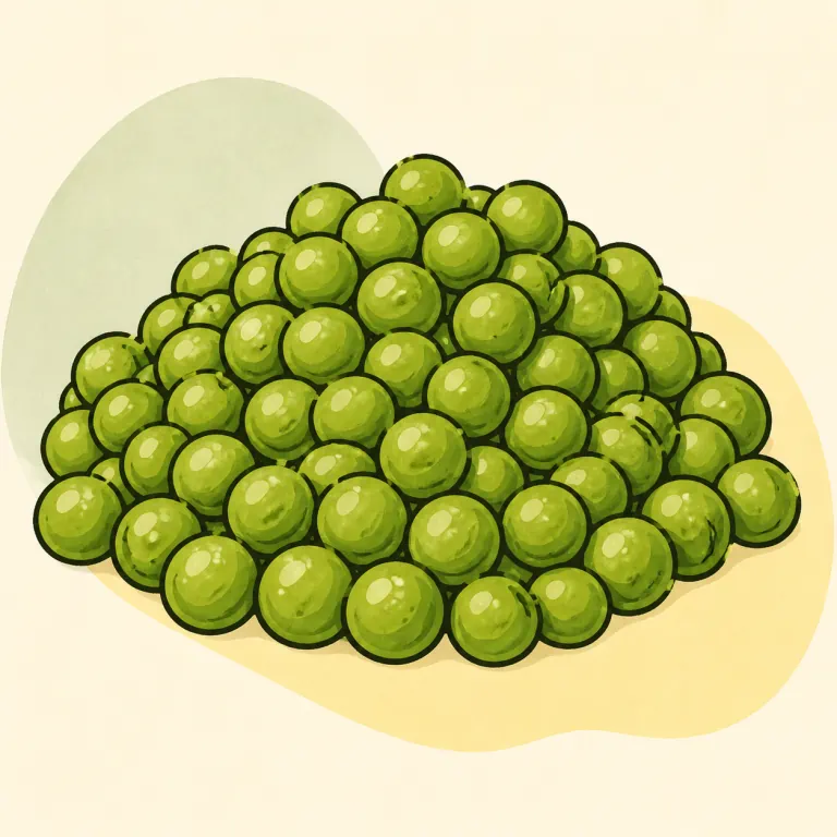 Hand-drawn editorial illustration of Green peas, canned, cooked, no added fat.