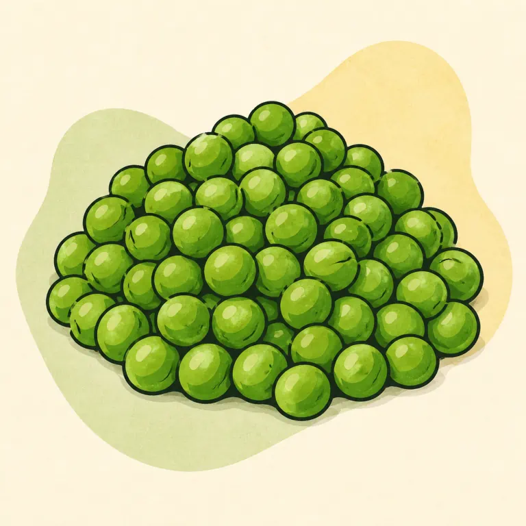 Hand-drawn editorial illustration of Green peas, fresh, cooked, no added fat.