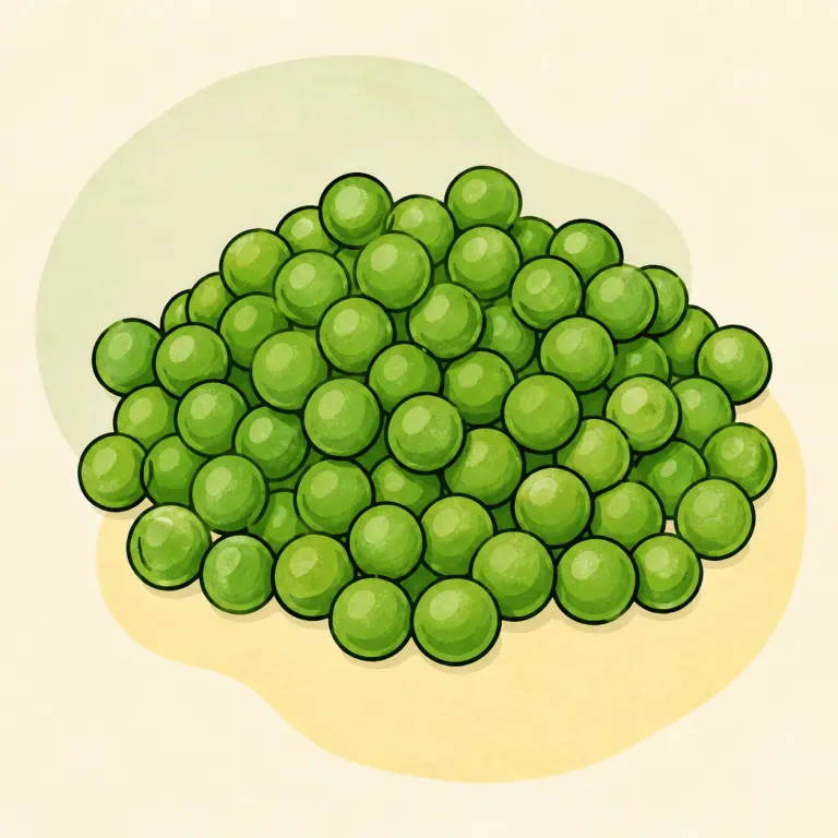 Hand-drawn editorial illustration of Green peas, frozen, cooked, no added fat.