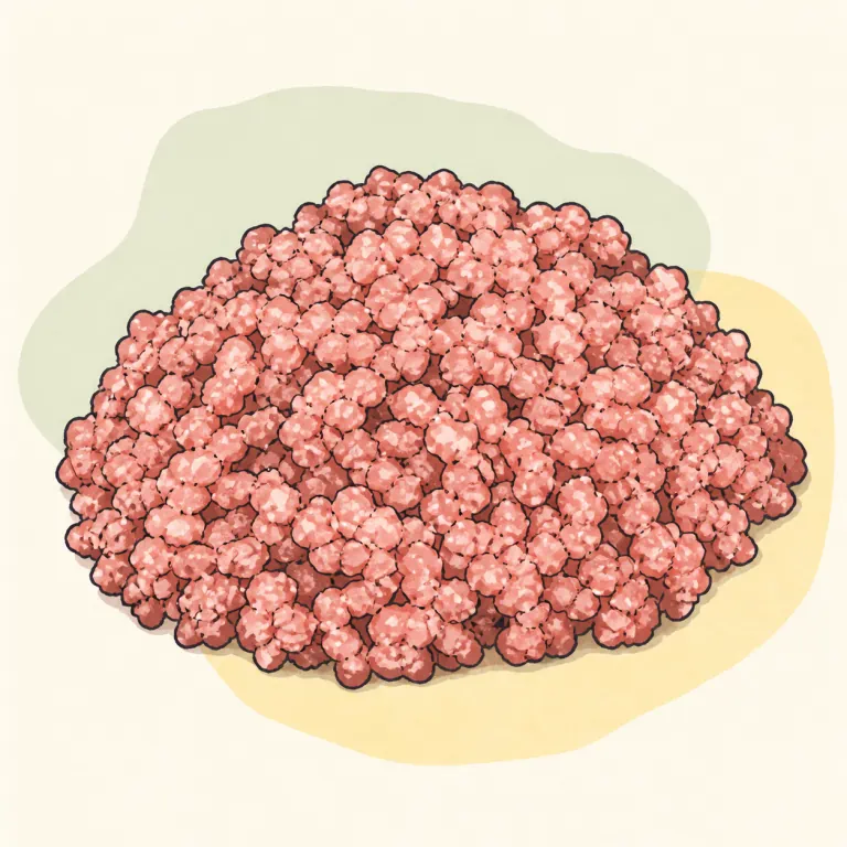 Hand-drawn editorial illustration of Ham, ground.