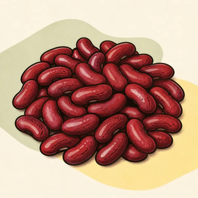 Hand-drawn editorial illustration of Kidney beans, from canned, no added fat.