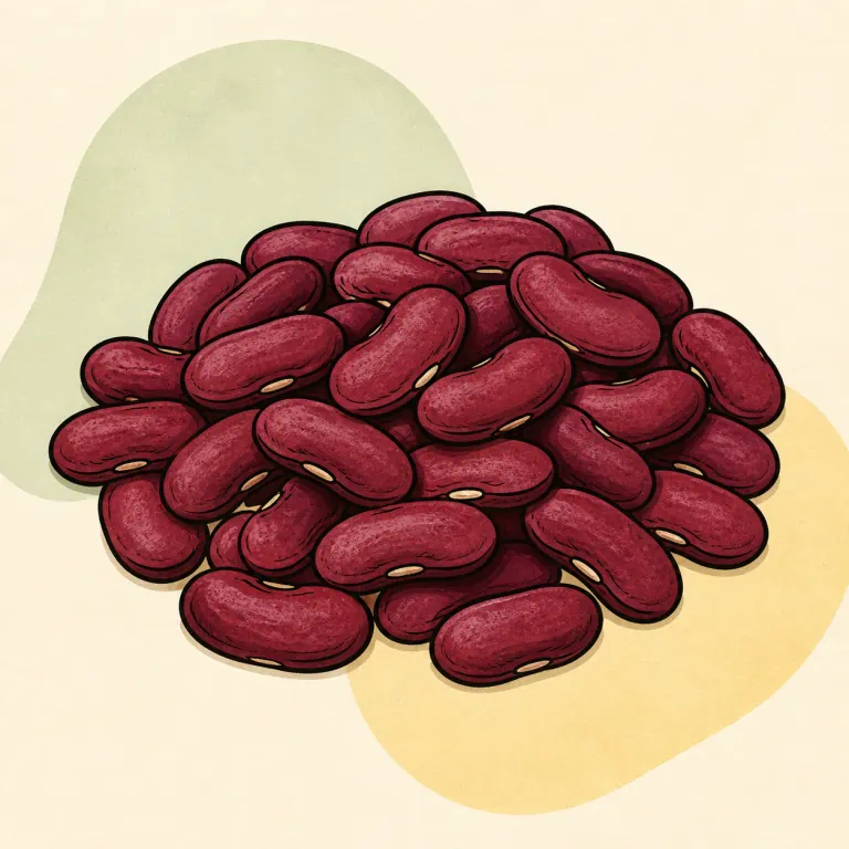 Hand-drawn editorial illustration of Kidney beans, from dried, no added fat.
