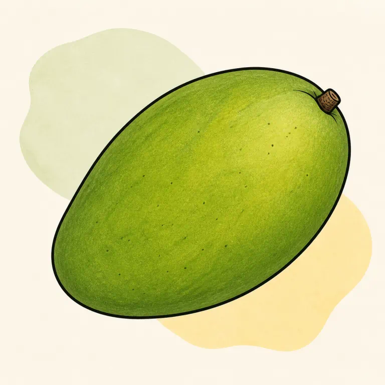Hand-drawn editorial illustration of Mango, raw.