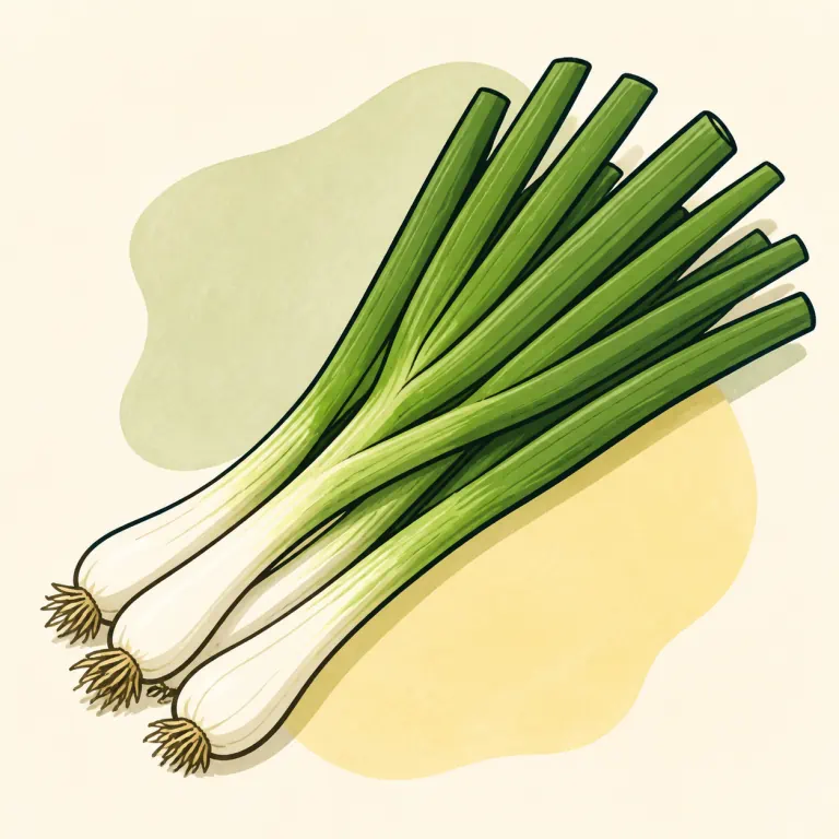 Hand-drawn editorial illustration of Onions, green, raw.