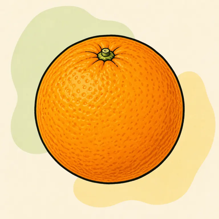 Hand-drawn editorial illustration of Orange, raw.