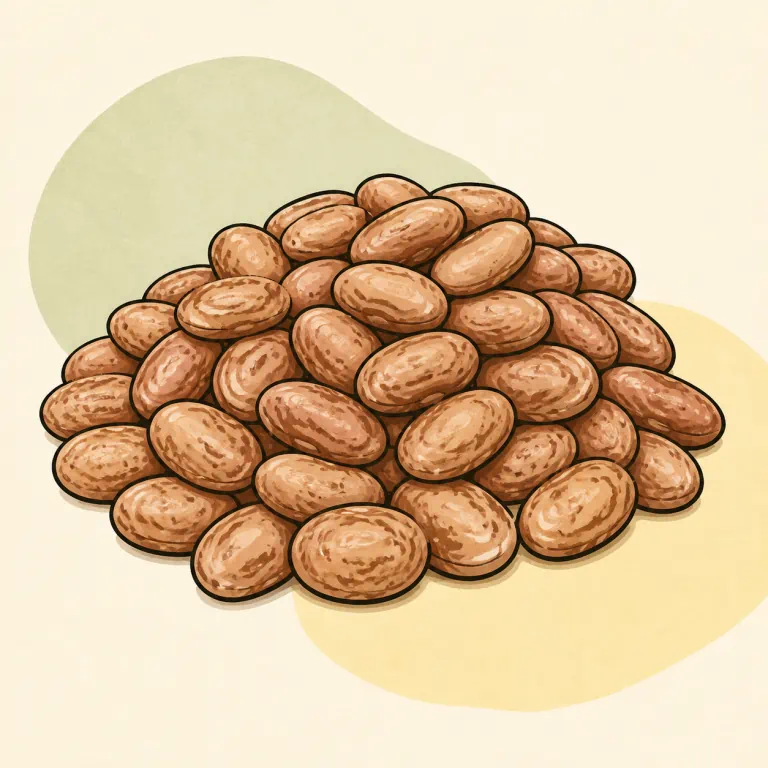 Hand-drawn editorial illustration of Pinto beans, from canned, no added fat.
