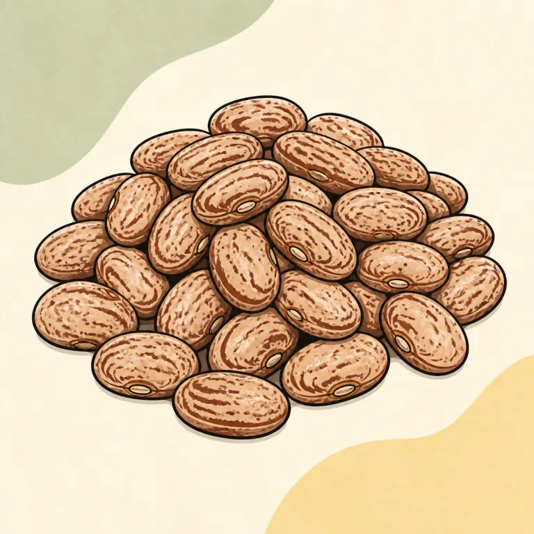 Hand-drawn editorial illustration of Pinto beans, from dried, no added fat.