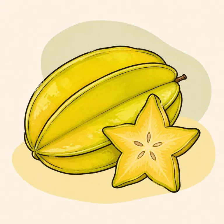 Hand-drawn editorial illustration of Starfruit, raw.
