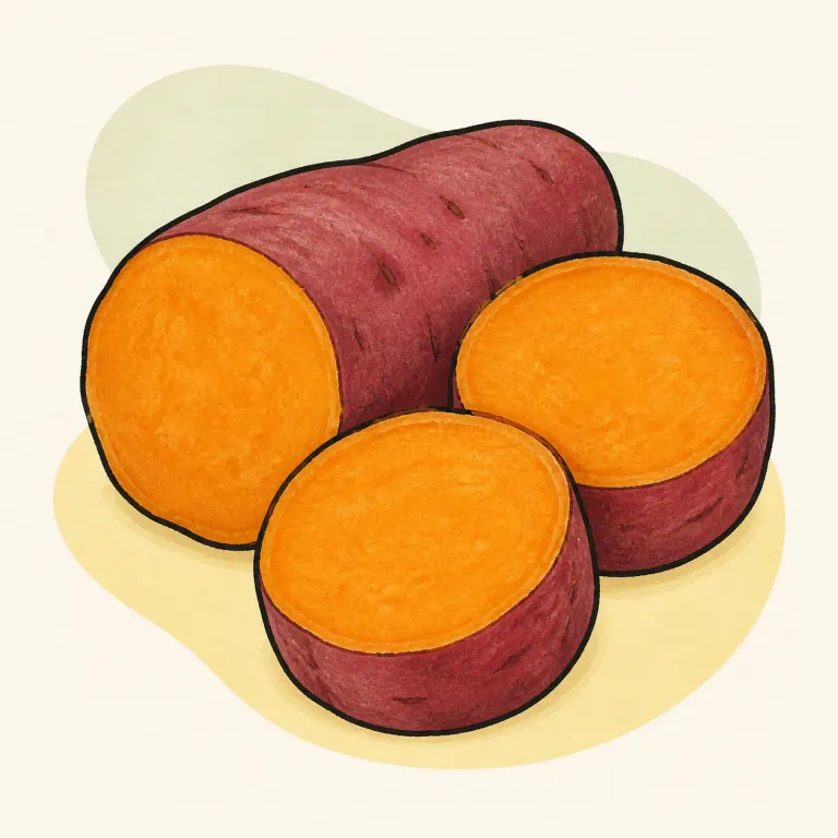 Hand-drawn editorial illustration of Sweet potato, boiled, no added fat.